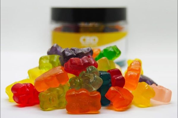 Everything About Are Mushroom Gummies Legal in 2026 Explained